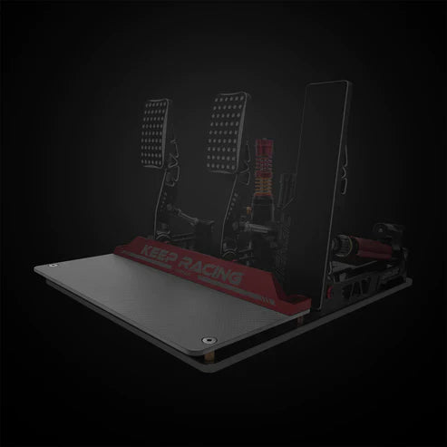 Simagic Carbon Fiber Door Sill Plate - Side View